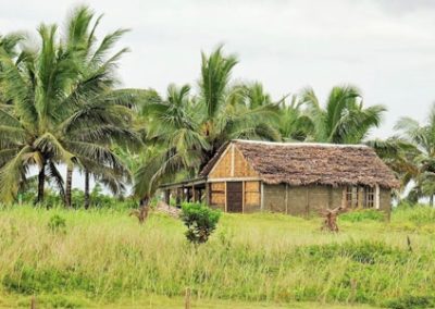 Apoyo a siete cadenas de valor agrícolas para el proyecto CASEF – Madagascar