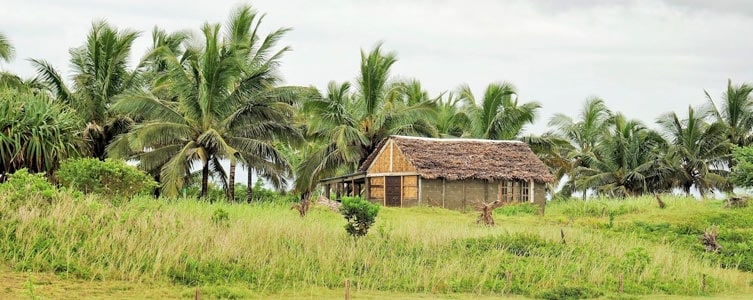 Apoyo a siete cadenas de valor agrícolas para el proyecto CASEF – Madagascar