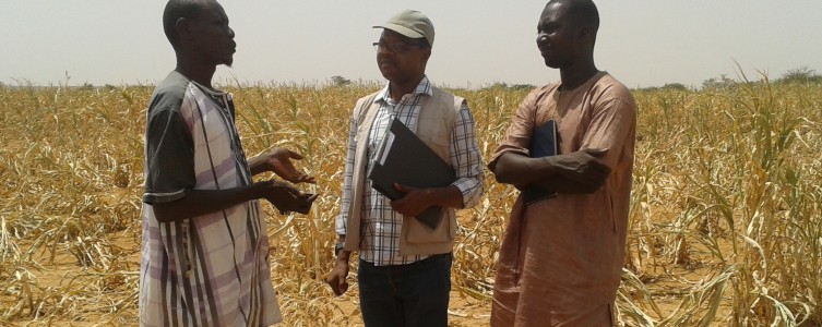 Mediación social para Essakane – Burkina Faso