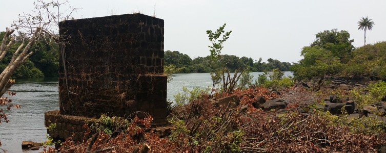 Analyse des données des inventaires pour Alufer – Guinée