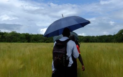 PAR pour AMC – Guinée