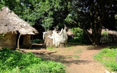 Mise en œuvre du PAR de AMC – Guinée