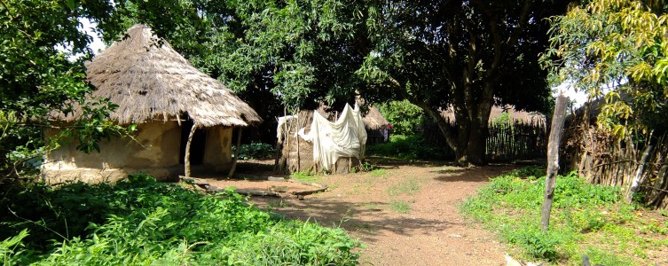 Implementación de un PAR para AMC – Guinea