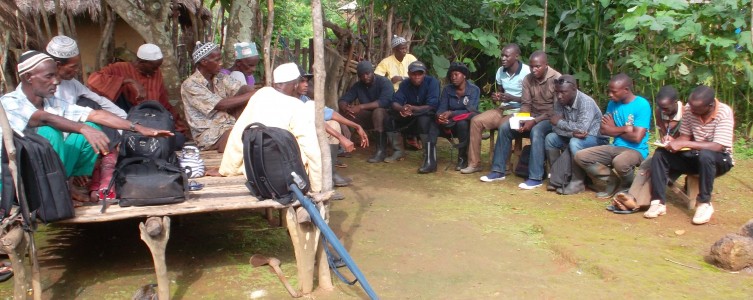 Actualización del PAR para AMC – Guinea