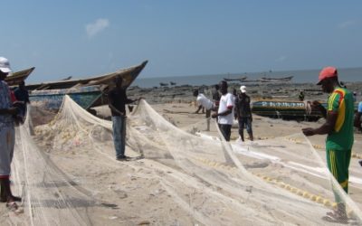 Mise à jour de l’EIES de Bel Air Mining – Guinée