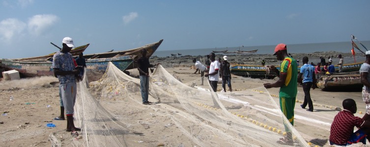 Actualización del EIAS para Bel Air Mining – Guinea