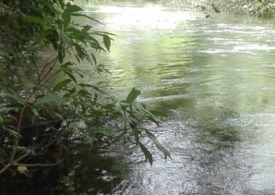 Análisis normativo para Biotope – Guinea