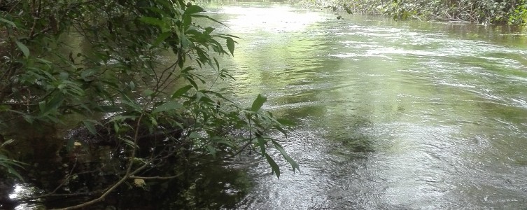 Analyse réglementaire pour Biotope – Guinée