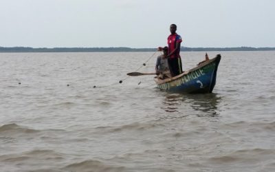 EIES pour le projet Chalco – Guinée