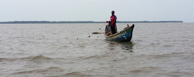 EIES pour le projet Chalco – Guinée