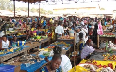 Etude de marché pour Simfer SA – Guinée