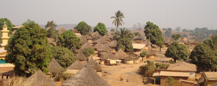 EIES et PAR pour le WAPP – Mali