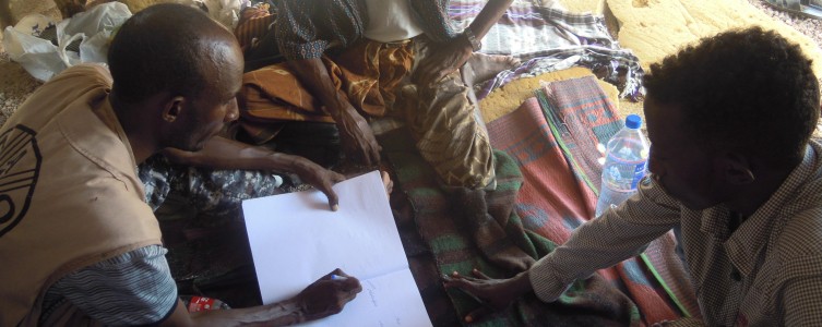Estudio de tenencia de la tierra para la FAO – Djibouti
