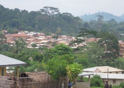 Plan de gestión de las migraciones para Bhp-Newmont – Guinea