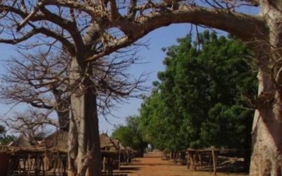 Elaboration of an Environmental and Social Management Framework for AFD – Senegal