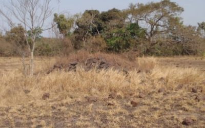 Etude de base sociale pour un projet d’aire protégée – Guinée