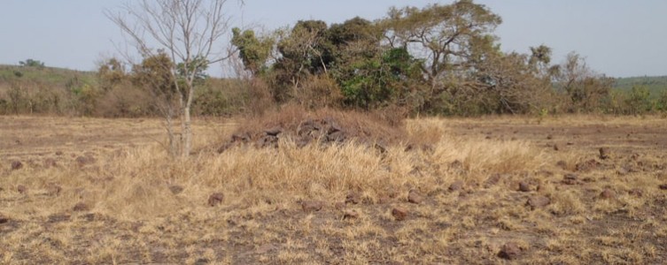 Línea de base social para un proyecto de área protegida – Guinea