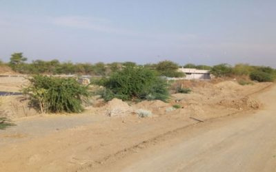 Etude d’Impact Environnemental et Social pour un projet agro-photovoltaïque – Djibouti