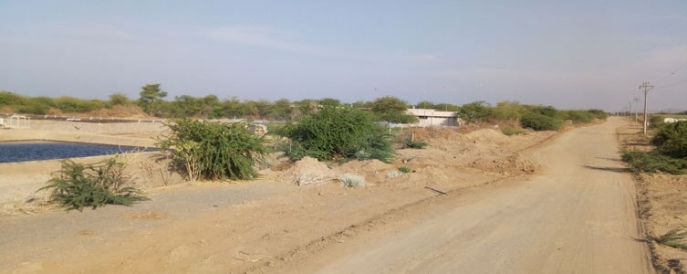 Estudio de Impacto Ambiental y Social para un proyecto agro-fotovoltaico – Djibouti