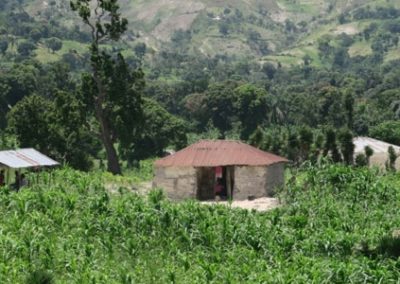 Study on the relationship between land tenure and land use – Haiti
