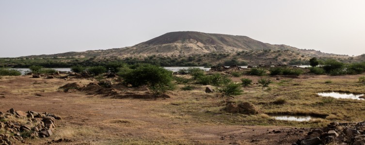 Etude socio-économique et inventaires pour Tractebel – Niger