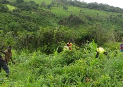 Estudio sobre la propiedad rural para el Ministerio de Agricultura – Guinea