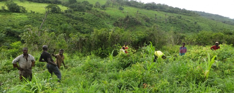 Estudio sobre la propiedad rural para el Ministerio de Agricultura – Guinea