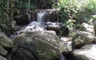 Etude sur le patrimoine culturel pour Simfer SA – Guinée