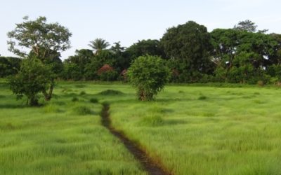 Cadre de Politique de Réinstallation pour la CBG – Guinée