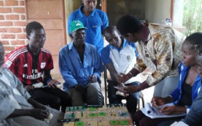 Diagnosis and REDD+ land-use planning for the FIP – Burkina Faso