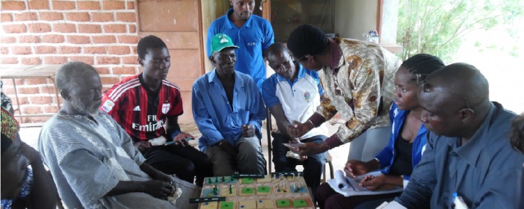 Diagnosis and REDD+ land-use planning for the FIP – Burkina Faso