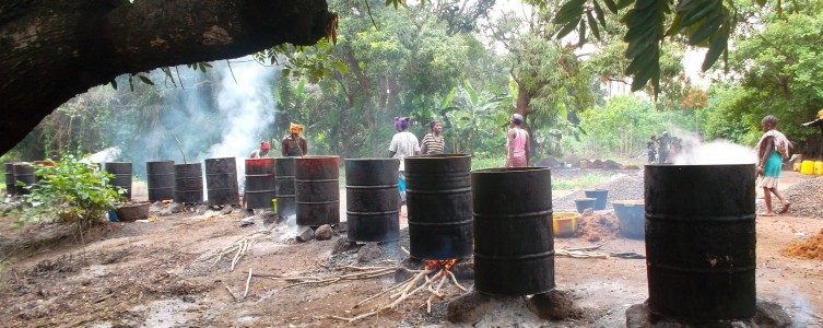 Estudio económico del sector minero en Guinea – Guinea