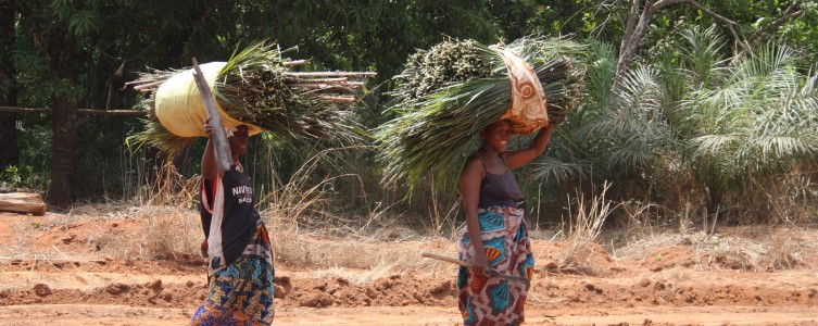 Supervision du SAF pour LuxDev – Niger