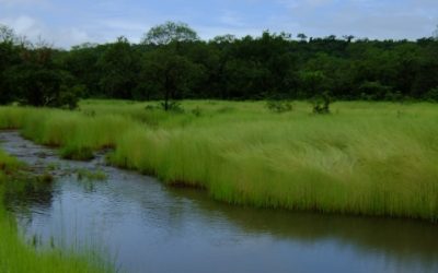 Mise à jour du PAR et de l’EIES du Barrage de Souapiti – Guinée