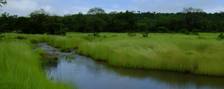 Actualización del PAR y del EIAS de la Presa de Souapiti – Guinea