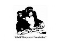 Wild Chimpanzee Foundation