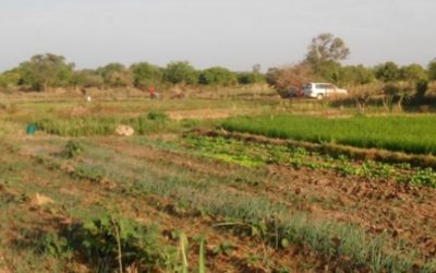 Répertoire des aménagements hydro-agricoles – Burkina Faso