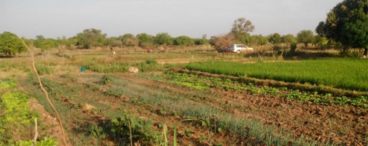 Répertoire des aménagements hydro-agricoles – Burkina Faso