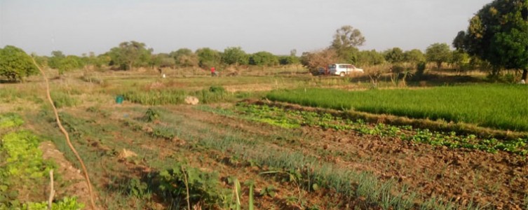 Registro de las mejoras hidroagrícolas – Burkina Faso