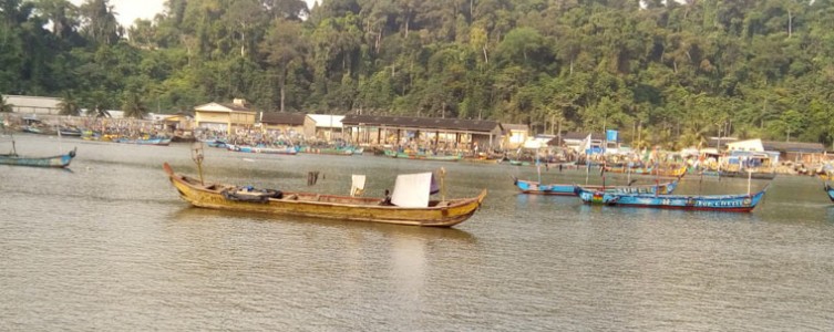 SEP & SIA of a port terminal in San-Pédro – Ivory Coast