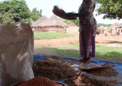 Estudio de cadena para Copeol – Guinea