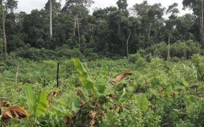 Social Management Plan for Eramet – Gabon
