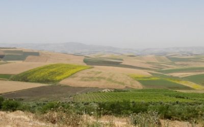 Scoping Report for MCC – Morocco