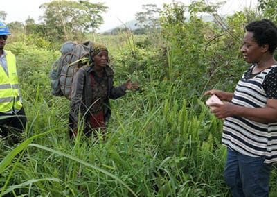 RPF, RAP and LRP for Comilog – Gabon