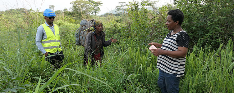 MPR, PAR y PRMS para Comilog – Gabón