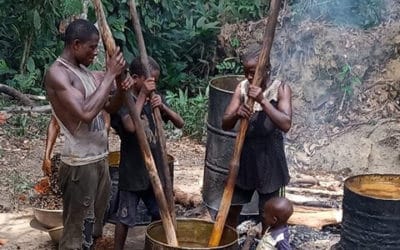 Estudio de Impacto Social para Tractebel – Guinea