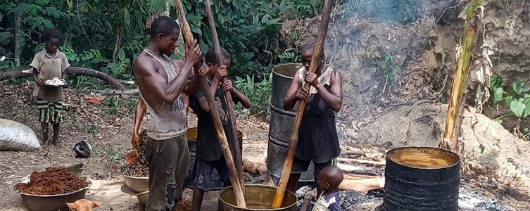 Etude d’Impact Social pour Tractebel – Guinée