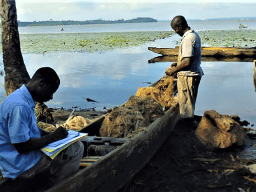 Impact study of the Atinkou thermal power plant – Ivory Coast