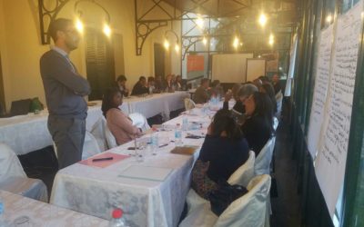 Insuco participó en un taller sobre la obtención de la licencia social para operar en el contexto de grandes inversiones en Madagascar