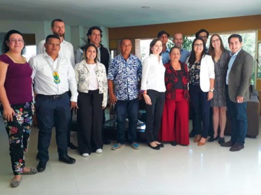 Support for the implementation of the D2D program of the IFC – Colombia